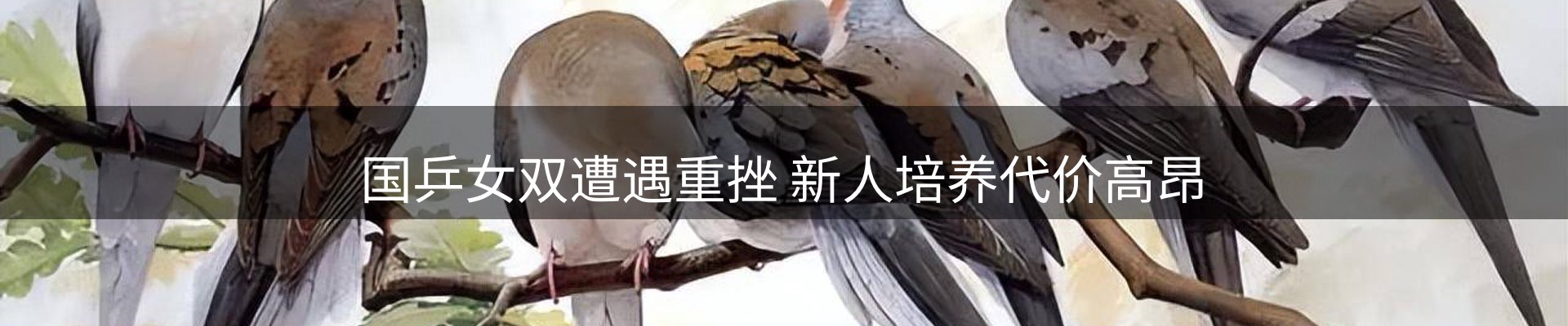 体育资讯
